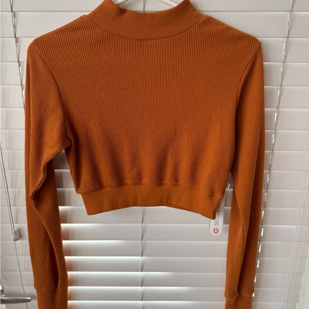 Elegant Rust Ribbed Crop Top - Picture 2 of 5